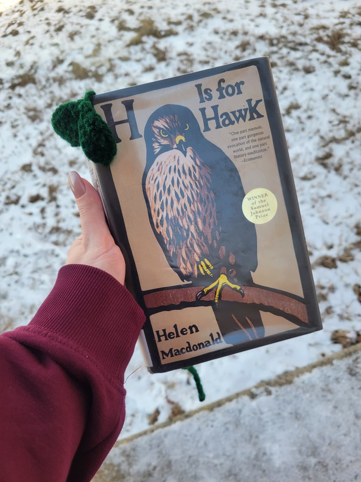 book "H is for Hawk"